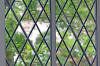 20060602-1-0054-010s.jpg (144840 bytes)
