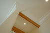 20060602-1-0151-010.jpg (2053826 bytes)