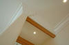 20060602-1-0151-010s.jpg (56183 bytes)