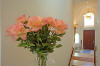 20060602-1-0263-010s.jpg (83189 bytes)