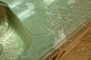 20060627-1-0549-010.jpg (2761589 bytes)