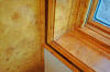 20060627-1-0654-010s.jpg (107975 bytes)